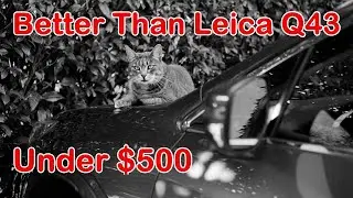 Better than a Leica Q43 and Under $500 - The Incredible Topcon 35 Rangefinder