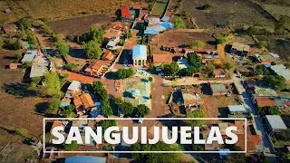Sanguijuelas Michoacan