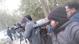 jim corbett national park tiger attack latest video tiger attack latest video night drive in jungle