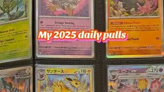 My 2025 Daily Pulls