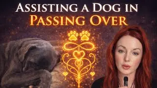 Putting a pet to sleep | Spiritual Grief Support 