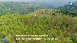 GLOBALink | Aerial drones shield the forests of Sichuan from swarms of locusts