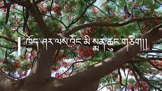 Bhutanese Lozey