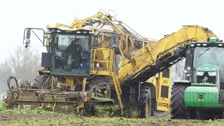 Ropa Panther 1 on duty in the field harvesting Sugarbeets | 2022 Beet Season in Denmark