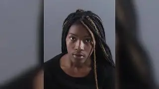 Driver accused of killing man and dog in hit-and-run in Dane County custody