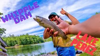 PENNSYLVANIA FISHING | LAKE PEREZ | WHIPPLE DAM