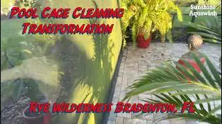 Screen Enclosure Pressure Washing | Bradenton, FL Pool Cage Clean #satisfying #transformation