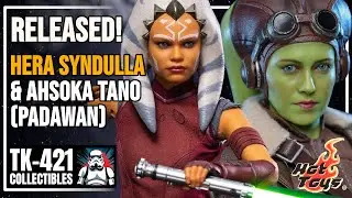 Released! Hot Toys HERA SYNDULLA and AHSOKA TANO (Padawan) &ndash; Blogger Photos Reaction!