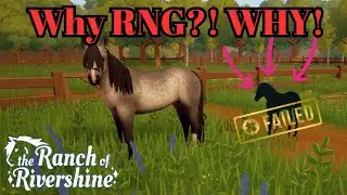 Warning: Mistakes in Horse Breeding