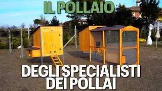 Nuovi POLLAI IN LEGNO MADE IN ITALY Il Verde Mondo