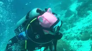 HYDRONE 3mm Pink Cat Scuba Hood🤿😽#scubahoodie #divinghood #divehood #kittyhood #cathoodie