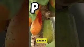 Песня ABC Fruit Phonics для детей | Изучаем фрукты и фонетику от А до Я | Весёлое изучение алфавита