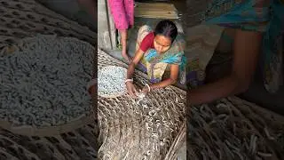 Did you know how Silk Thread is made in India? 😨😵 #shorts #saree #ashortaday
