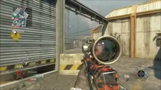Just some Bo1 Clips