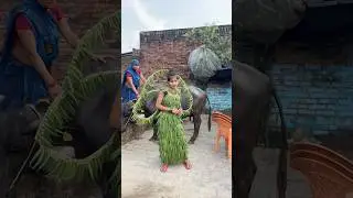 16 June 2025#dance #bhojpuri #funny #funny #comedy