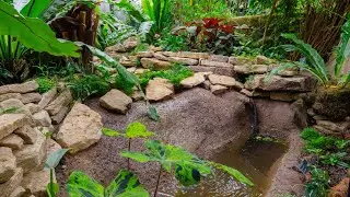 Our brand-new stream is all set and waiting for our froggy friends! 🐸