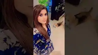 ABP news anchor Pratima Mishra