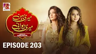 Meri Behan Meri Dewrani | Pakistani Drama 2025 | Episode 203 | Latest Episode Today | @Rewoflix