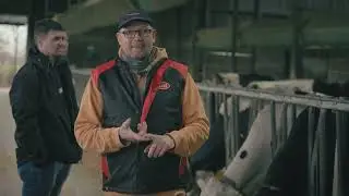 Warum ersetzen 3 LELY A5 Deine Boumatic Melkroboter, Berthold? Wie sind die Erfahrungen? #12