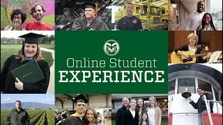 CSU Online Student Experience