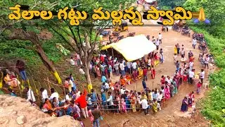 వేలాల గట్టు మల్లన్న స్వామి🙏🙏 TRENDING VIDEO // VIRAL MANCHERIAL // YOUTUBE VIDEOS ...