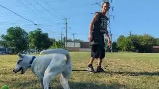  Milo play. making strides, take time w/fear-insecure but how long