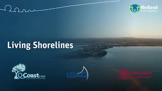 Living Shorelines