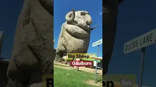 The Big Merino Goulburn