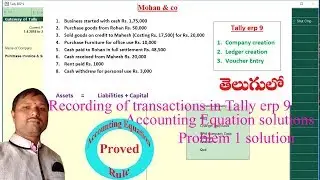 Tally problems with solutions || accounting equation solutions No.1