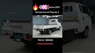Электрический Портер 2. Electrical Porter. На заказ из Южной Кореи