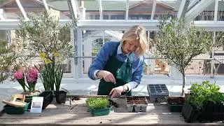 Grow Your Own Cut Flowers by Gordon Castle Walled Garden | Garden of the Year