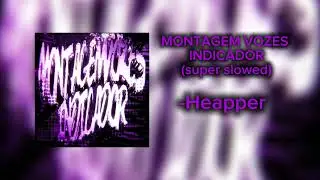 MONTAGWM VOZES INDICADOR(METROMAN EDIT?)-Heapper