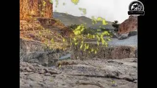 حمزة عثماني _ أياد أياد هيمسونين