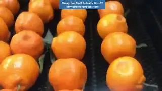 citrus cleaning sorting machine, fruit cleaning grading equipment