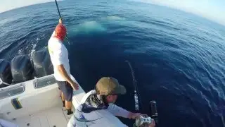 Key West Swordfishing 6 hour fight into night weighs 300lbs