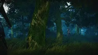 The Witcher 3: Wild Hunt - Leshen(Creepy AF)