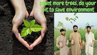Plant more Trees do your bit to Save Environment | Green Pakistan Clean Pakistan