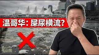 温哥华彻底崩坏？市中心海域沦为“海上厕所”，流浪汉花$1000住游艇！深扒码头圈华人众生相：60岁上海老克勒的“商婚”生意经 #温哥华现状 #海外生活 #硬核揭秘