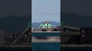 Experience the Thrill: The Rollercoaster Bridge You Need to See #viralvideo #bridges