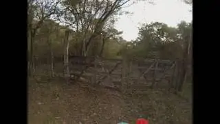 Finca Regreso Ale