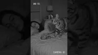CCTV Surprise: Lena Brings a Midnight Gift