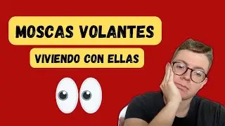 MOSCAS VOLANTES ¿Cómo es vivir con ellas? 😰