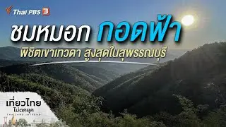 ชมหมอก กอดฟ้า พิชิตเขาเทวดา สูงสุดในสุพรรณบุรี : เที่ยวไทยไม่ตกยุค