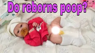 Do Reborn & Silicone Baby Dolls POOP? 