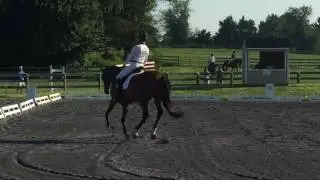 Flintstar Dressage - Waredaca