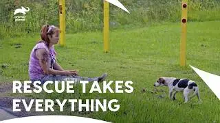 Tia Torres Injuries Can’t Stop Her From Dog Rescue | Pit Bulls & Parolees S8 E8,9,10 | Animal Planet