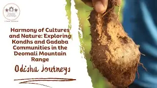 Harmony of Cultures and Nature: Exploring Kondhs & Gadaba Communities in the Deomali Mountain Range