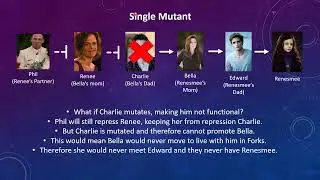 Mini exam video 6-2: Developmental Networks Twilight Analogy