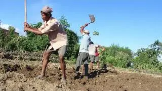 Digging land by villager for farming purpose ll Primitive technology