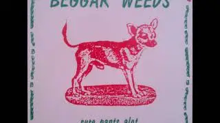 Beggar Weeds 